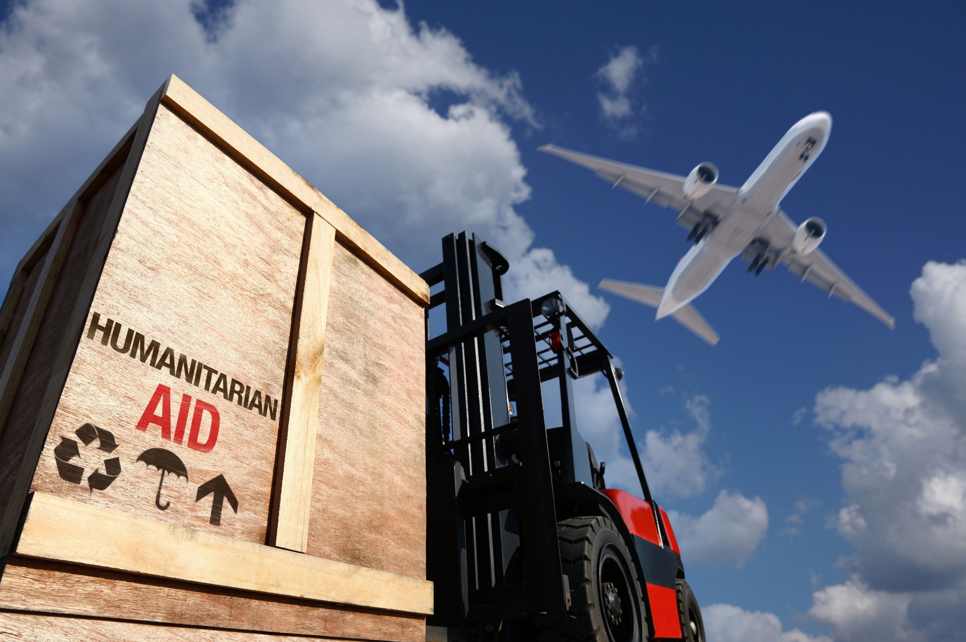 Airplane and cargo on forklift trucke